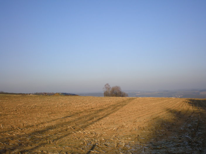 bouillon 041.jpg